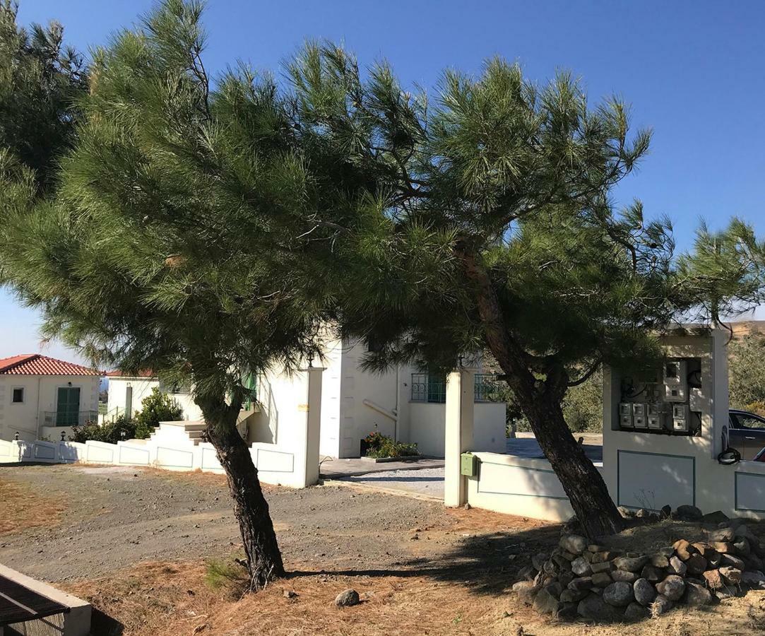 Kornos Ampeloessa Village מראה חיצוני תמונה